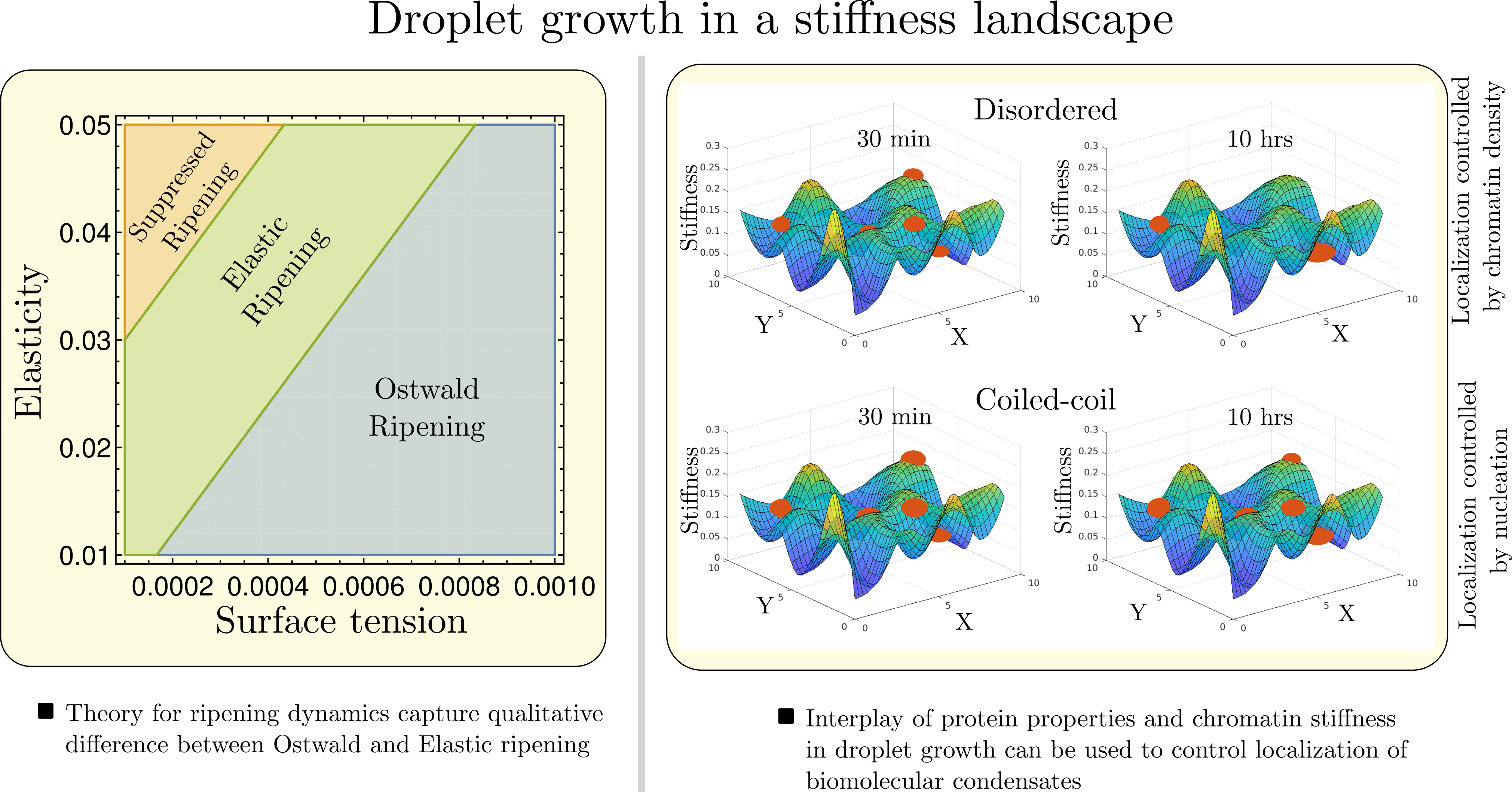 Biomolecular condensate dynamics in complex media